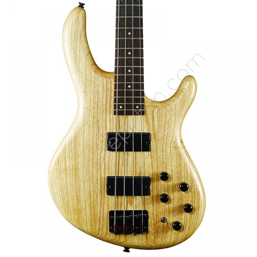 cort bass action v