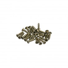 Fender Road Worn Pickguard/Control Plate Screws 24 Gitar Yedek Parça